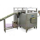 وسیکوز وسیکوز